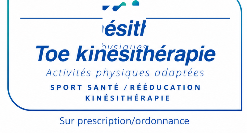 Identité visuelle Toé kinésithérapie